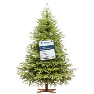 Fairytrees Künstlicher Weihnachtsbaum FT06, Nordmanntanne Exklusiv 100% PE, Nordmanntanne Exklusiv 100% PE grün 220 cm