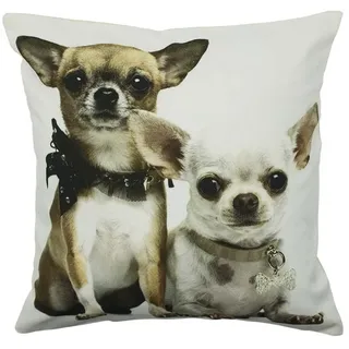 Mars & More Kissenbezug Chihuahuas 50 x 50 cm Hellbraun