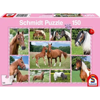 Schmidt Spiele Puzzle Schmidt Spiele 56269 Pferdeträume 150 Teile