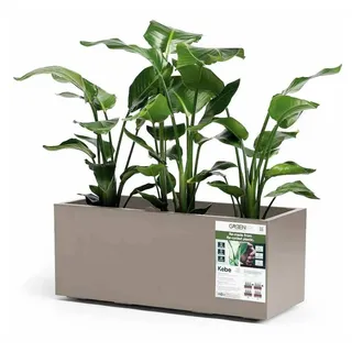 Euro3Plast Greener KEBE 3154.G9Pflanzkasten Kunststoff Taupe