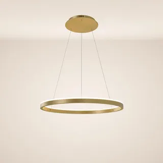 s.luce LED Ring Pendelleuchte 1-flg. Ø 80 cm rund gold