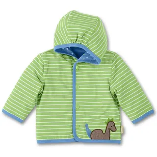 Sterntaler Kapuzen-Jacke Danny Dino 2611510 grün Jersey Baby