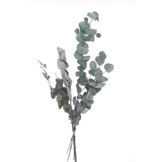 Kunstpflanze Eukalyptus, VBS, 30 cm - 65 cm lang grün