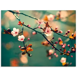 ARTland Wanddeko Glasbilder Wandbild Glas Bild einteilig 60x45 cm Querformat Blumen Kirschblüte Botanik Blüten Natur Asien Japan Moderne Kunst T5VP