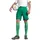teamLIGA Shorts