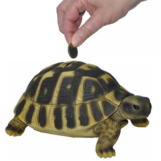 Dazikemo Spardose Sparschwein große Schildkröte