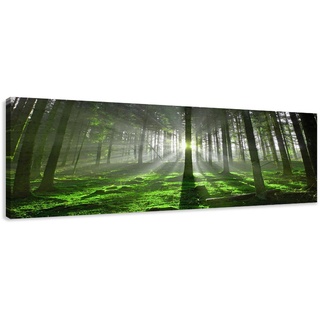 Visario Leinwandbilder 5706 Bild auf Leinwand Wald, 120 x 40 cm