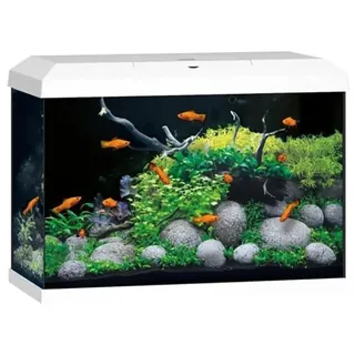 JUWEL AQUARIUM Primo 70 LED 2.0 inkl. Abdeckung, Bioflow Super Filter, Eccoflow Pumpe, AquaHeat Pro, NovoLux LED 61 l weiß