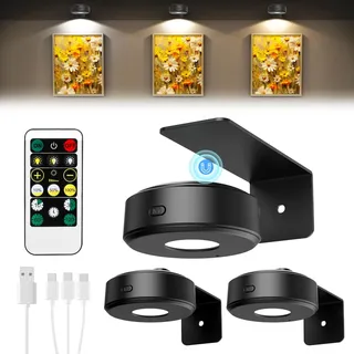 Lightbiz Bilderleuchte Kabellos, Bildbeleuchtung Akku mit Fernbedienung & Timer, Dimmbar mit 3 Farbtemperaturen, Bilderlampe für Bilderrahmen, Picture Light für Kunstwerke, Vitrinen & Regal-Black