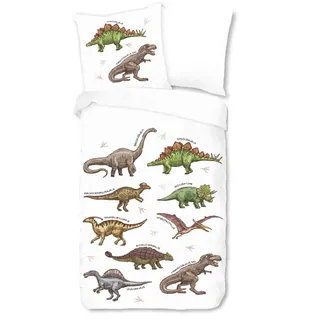 ESPiCO Bettwäsche Sleep and Dream Dino Bunt Dinosaurier Reptilien T-Rex Tiermotiv Kinder Zimmer Renforcé, Größe:135 cm x 200 cm