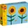 Sonnenblumen 40524