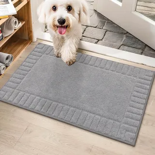 BEQHAUSE Fussmatte Innen, Waschbare und TPR rutschfeste, Hellgrau, 50x80cm | Schmutzfangmatte für Haustür, Super Saugfähiger Fussmatte Teppich für Eingang, Haustiere, Hunde, Polyester, Niedriges Design