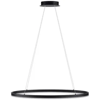 Paul Neuhaus Titus 1-flg. 39 cm oval schwarz