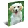 A3 hunde