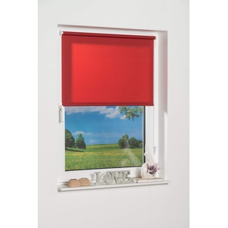 K-home 236626-1 Klemmfix-Minirollo, Rot Tageslicht 40 x 150 (B x L)