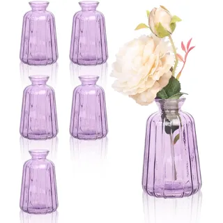 6 Stück Kleine Vasen für Tischdeko Mini Glasvase Set für Tischdeko Hochzeit (11× 6,5cm, Lila)