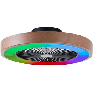 Lightbox LED Deckenlampe 1 Ventilator Ø 49 cm Kunststoff/Metall Braun/Schwarz