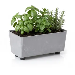 Lamela Rechteckiger Pflanzkasten 28,5 x 17 cm Grau