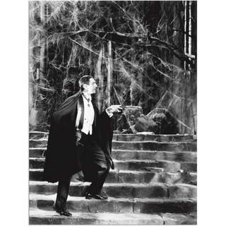 Wandbild »Dracula 1931«, Film, (1 St.), als Alubild, Leinwandbild, Wandaufkleber oder Poster in versch. Größen, 10800067-0 schwarz B/H: 60 cm x 80 cm