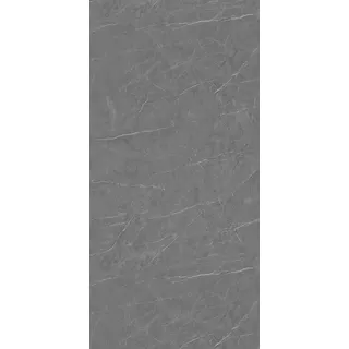 AMON Wandpaneele 122x244cm in Natur-Steinoptik (Arctic Grey) ideal als Duschrückwand Badrückwand Küchenrückwand TV-Rückwand Dusch- Bad- Wand-Verkleidung aus 3mm PVC Wasserdicht Wasserfest