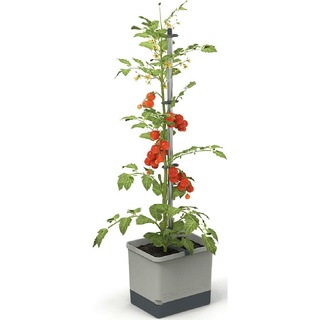 Gusta Garden, Blumentopf, Tom Tomato (35 cm)