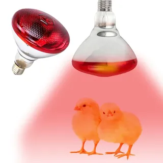 KQWVZ 1PCS Reptilien Rotlichtlampe, 150W Infrarotlampe Wärmelampe Terrarium, E27 Rotlichtlampe Wärmelampe, Rotlichtlampes Birne für Reptilien Tiere, Hühnerfarmen, Säugetiere, Geflügel