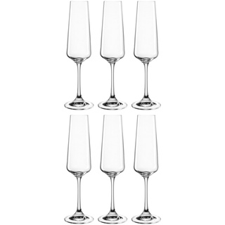Leonardo Paladino Sekt-Gläser, 6er Set, spülmaschinenfeste Prosecco-Gläser, Sekt-Kelch mit gezogenem Stiel, Champagner-Gläser, 220 ml, 066309