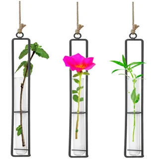 Vastsea 3 Stück Glasvase Aus Schmiedeeisen, Flasche Reagenzglas für Blumen, Hängende Metall Luftpflanzen Halter, Metalleisen Kreativ Wandbehang Pflanzen Glasvasen für Heimtextilien(22.5 x 4 cm)