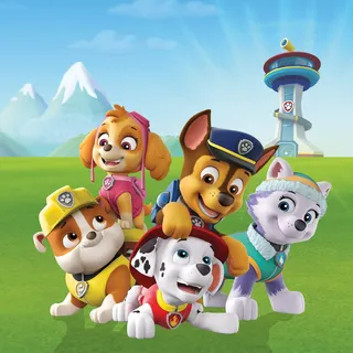 Leinwandbild BÖNNINGHOFF "Wandbild PAW PATROL 35x35 cm – Leinwandbild Keilrahmen Deko modern", bunt (farbe rahmen: kein rahmen, farbe bild(er): blau, weiß, grün), B:35cm H:35cm T:1,8cm, Canvas, MDF, Bilder, Leinwandbild, auf Keilrahmen gespannt
