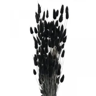 Trockenblume Lagurus Hasenschwanzgras Schwarz Dekoration Getrocknet 60cm 50g, Viana