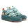 Hase 31