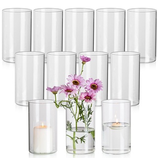 Glasseam Blumenvase Glas Vasen, 12 x Klar Kleine Vase Set, 15 x 8,5 cm Zylinder Runde Glasvase Schöne Blumenvasen für Tulpen, Minimalistische Dekovasen Kerzenhalter für Hochzeit Tischdeko Dekohaus
