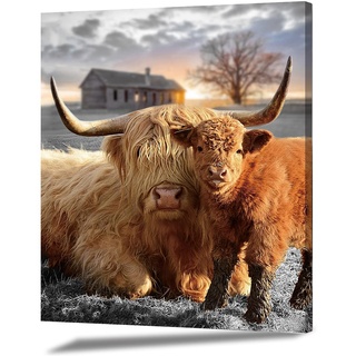 Rinsiken Highland Kuh Leinwanddruck, Tiere, 40,6 x 50,8 cm, Heimdekoration