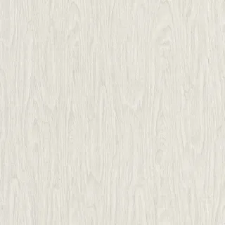 Bricoflor Moderne Tapete in Holzoptik in Grau Hellgraue Holztapete Ideal für Badezimmer und Schlafzimmer Schlichte Vliestapete mit Vinyl