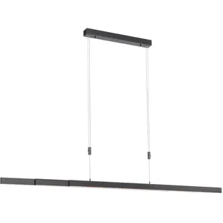 Paul Neuhaus Bacalia Pendelleuchte LED, B2568-13,