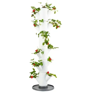 Gusta Garden Sissi Strawberry Classic Draußen Vertikale Pflanzmaschine Freistehend Polypropylen (PP) Weiß