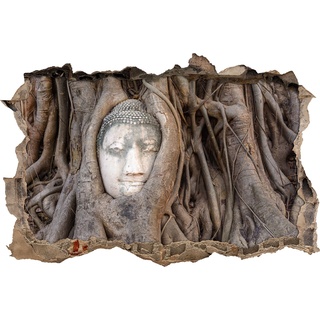 Pixxprint 3D_WD_S2414_62x42 verwachsener Buddha Kopf in altem Baum Wanddurchbruch 3D Wandtattoo, Vinyl, bunt, 62 x 42 x 0,02 cm
