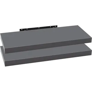 Woltu Bücherregal 60 x 22,9 x 3,8 cm Dunkelgrau