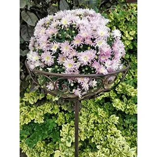 Manufaktur Lichtbogen XL Blumenkorb aus Metall zum stecken - 120 cm - Gartenstecker Pflanzenkorb Stab