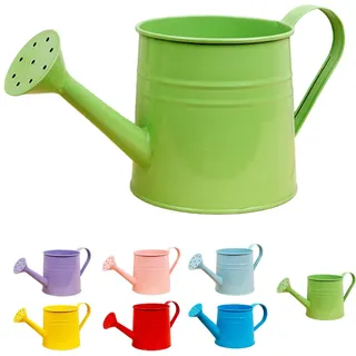 Gießkanne Klein Zimmerpflanzen 1L Kleine Gießkanne Metall Blumentopf Giesskanne Garten Balkon Watering Can Kieskanne Vintage Blumengießkanne Pflanzengießkanne Gartenwerkzeug (Grün)