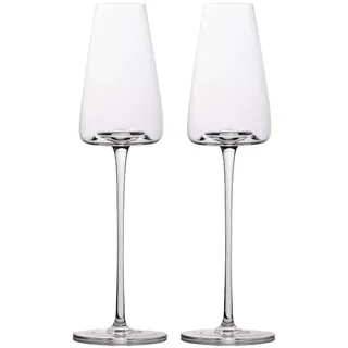 Intirilife Sektglas 0,22 l 2 St.