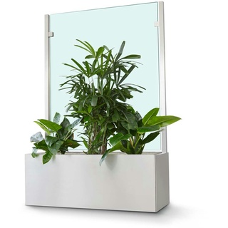 Glasprofi Pflanzkasten Indoor Sichtschutz / Hygieneschutz, 170x158,5x50