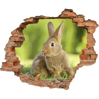 DesFoli Wandtattoo Kleines Kaninchen Hase - verschiedene Rahmentypen DW000106 Farbe Roter Stein Quadratisch, Größe 85 cm x 70 cm