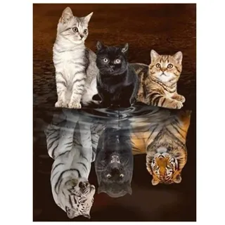 GVNEO Malen Nach Zahlen Gemälde Katze Tiger DIY Tier Elefant Hund Wohnkultur A6(40X50Cm Rahmenlos)