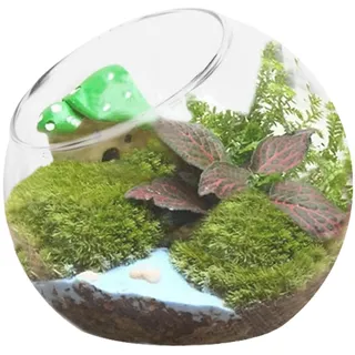 Terrariumglas - Kristallwall hängende Pflanzer | Praktische runde Terrarium Fischschüssel Glasvase | Glass Blumenpot -Vase für Wohnzimmer, Esstisch und Schlafzimmer