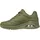 Olive 37