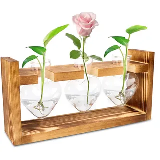 Glas Propagation Station für Pflanzen,Ableger Pflanzen Glas mit Holzständer,Vintage Kleine Vasen Für Tischdeko,Modern Vasen für HydrokulturPflanzen,Reagenzgläser Blumenvase für Home Wohnzimmer Büro