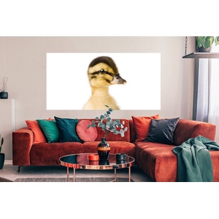 MuchoWow Poster Ente - Gelb - Tiere - Natur, (1 St), Bild für Wohnzimmer, Schlafzimmer, Wandposter, Ohne Rahmen, Wanddeko bunt 160 cm x 80 cm