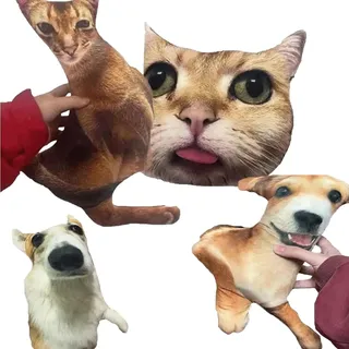Glad Gua Custom Cat Pillow Personalisierte Katzen Ugly Form Kissen, Hässliche Lustige Körper Wirres Zeug Kissen, Individuelle Haustierfoto Stofftier Geschenke