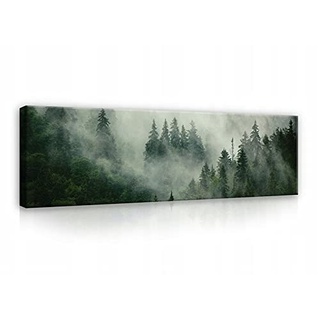 Bilder Panorama Wald Nebel grün Natur 145 x 45 cm - Modern Schlafzimmer Querformat Groß Leinwandbilder Leinwandbild Wandbild Kunstdruck Wandbilder Wand Bild auf Leinwand UV-Beständig Aufhängefertig